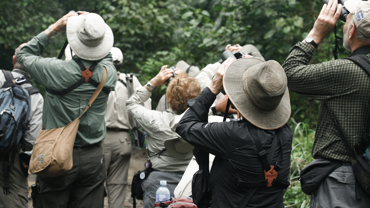 Birding excursion